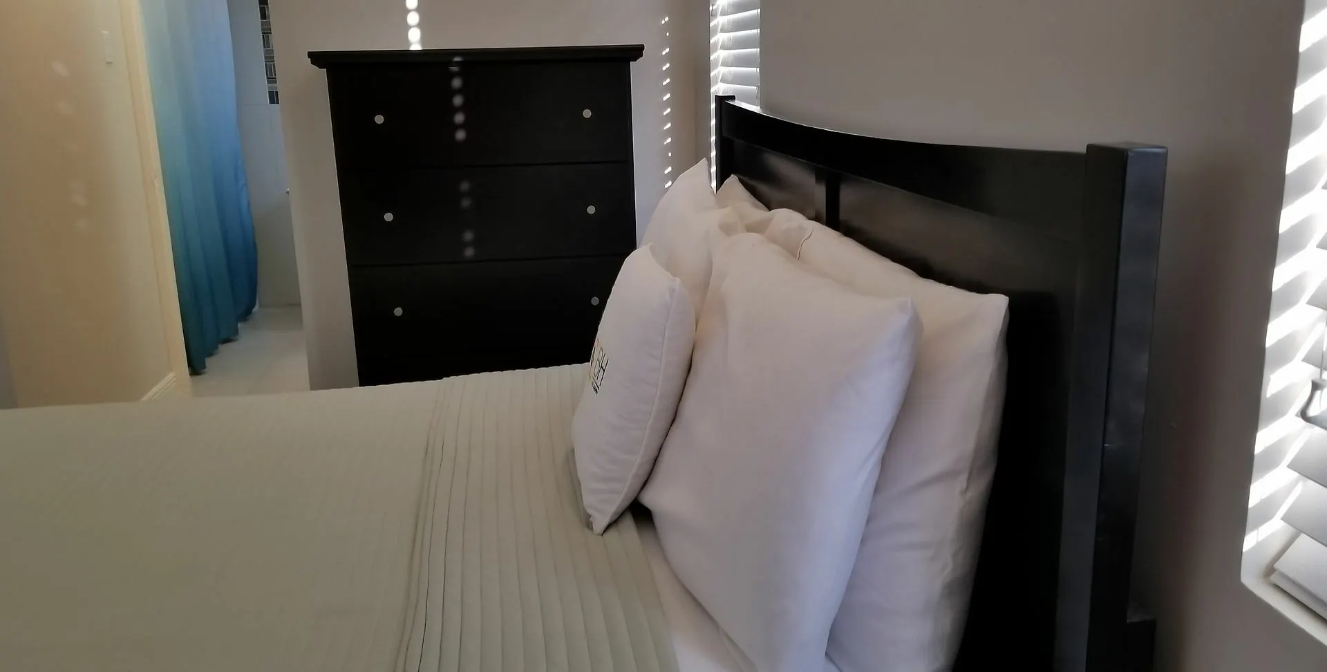 New Kingston Guest Apartment At Eight